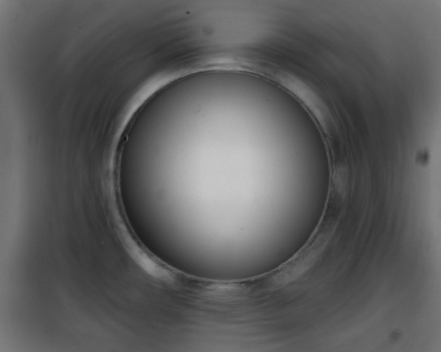 X0000101201482200807071303
