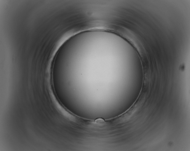 X0000101201483200807071303