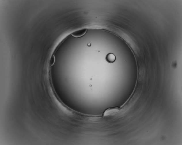 X0000101201484200807071303