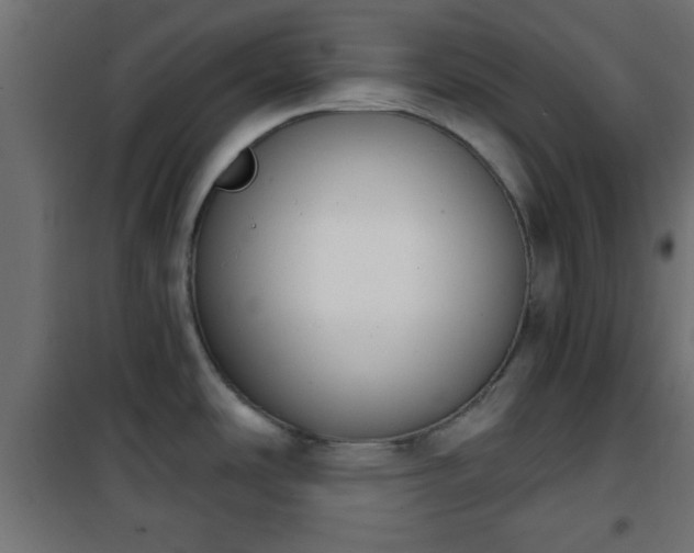 X0000101201486200807071303