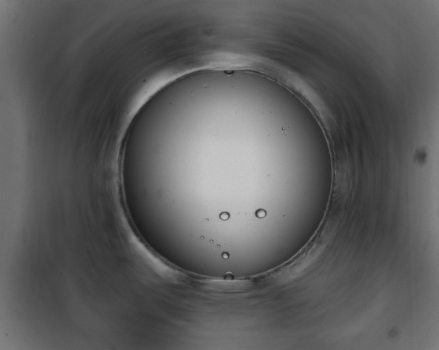 X0000101201487200807071303