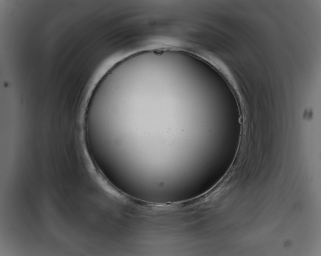 X0000101201488200807071302