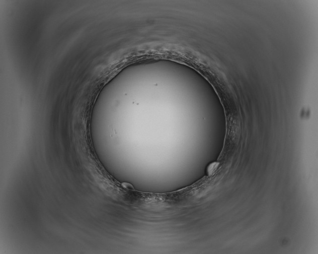 X0000101201489200807071302