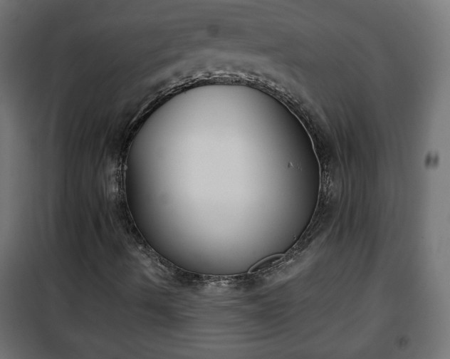 X0000101201490200807071302