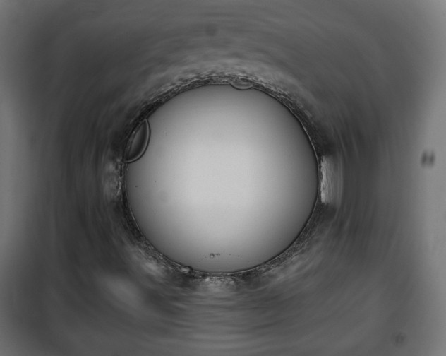 X0000101201491200807071302