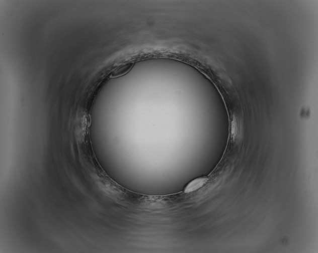 X0000101201492200807071302