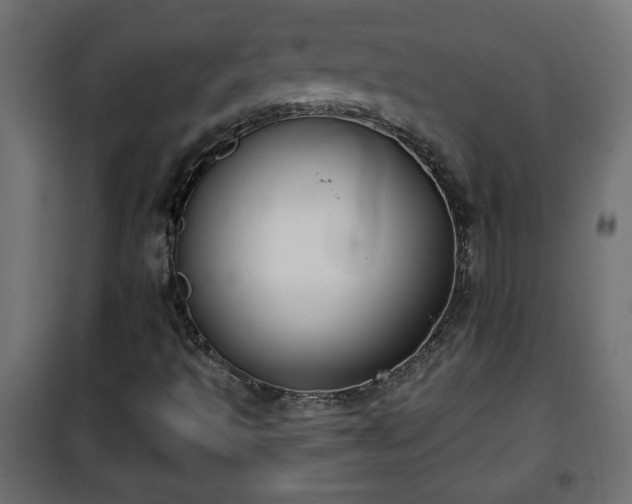 X0000101201493200807071302