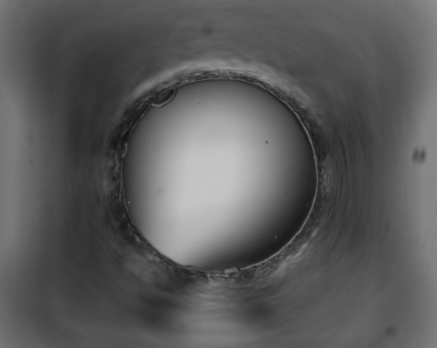 X0000101201494200807071302