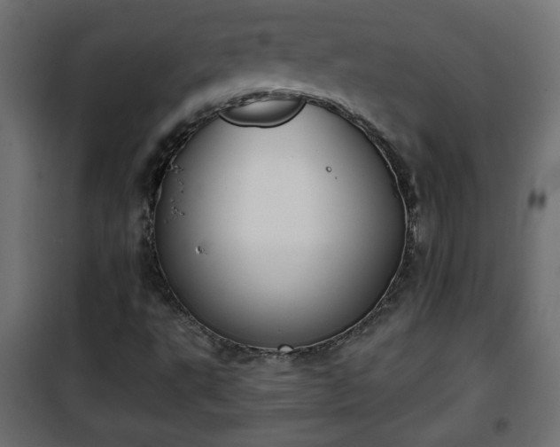 X0000101201495200807071302