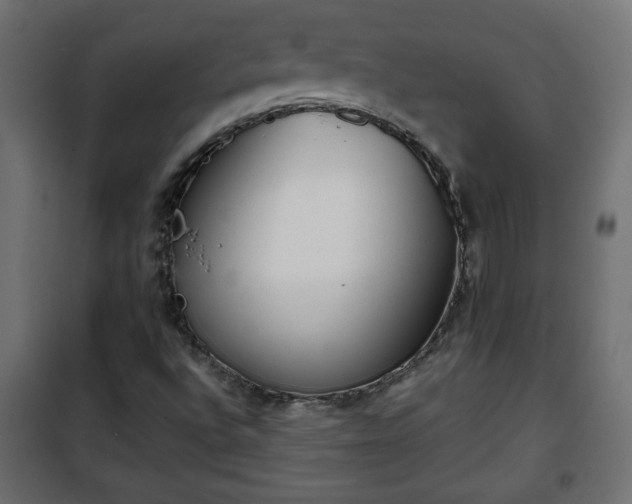 X0000101201496200807071302