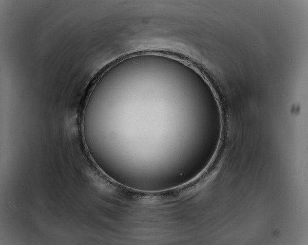 X0000101201497200807071302