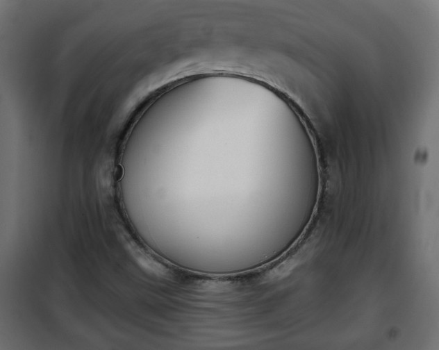 X0000101201499200807071302