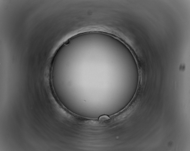 X0000101201500200807071302