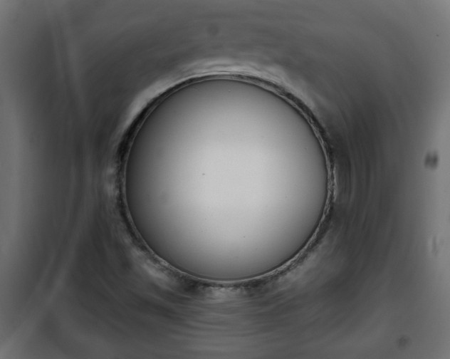 X0000101201501200807071302