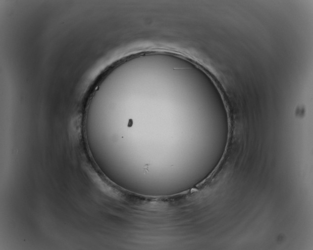 X0000101201503200807071302