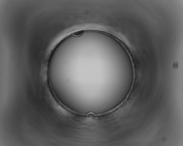 X0000101201504200807071302