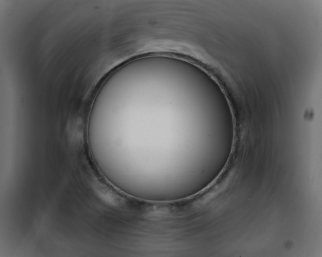 X0000101201505200807071302