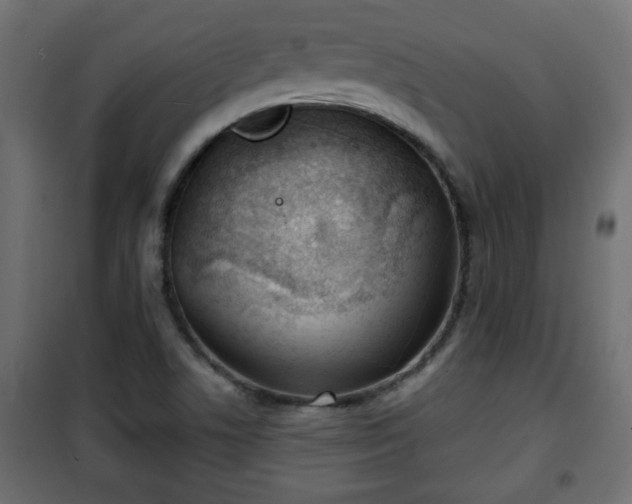 X0000101201506200807071302