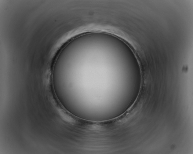 X0000101201507200807071302