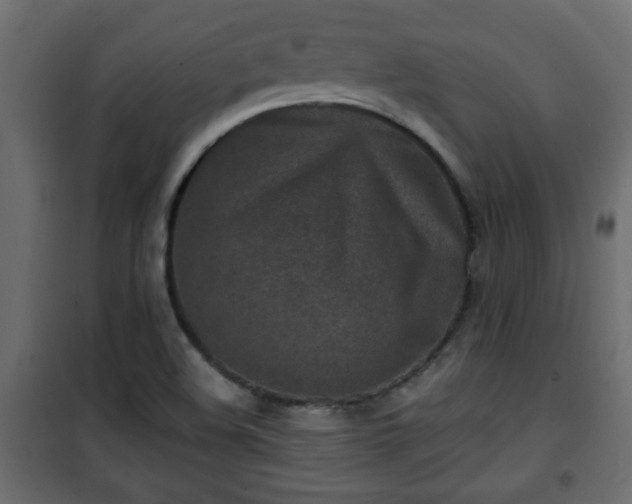 X0000101201508200807071302