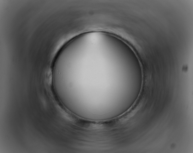 X0000101201509200807071302