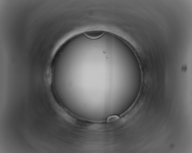 X0000101201510200807071302