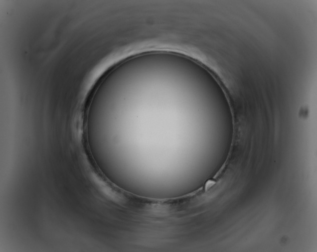X0000101201511200807071302