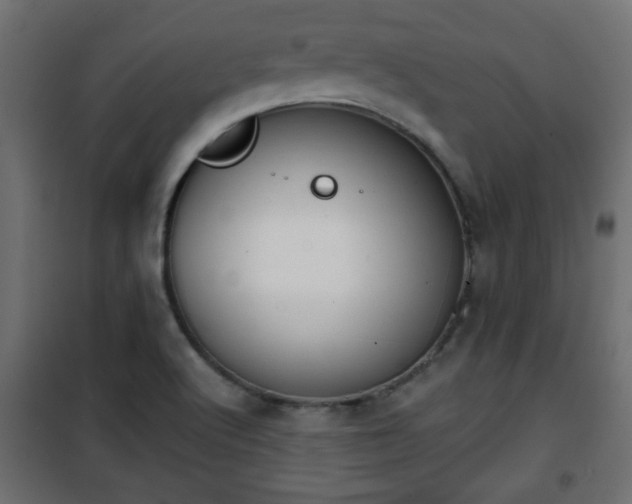 X0000101201512200807071302