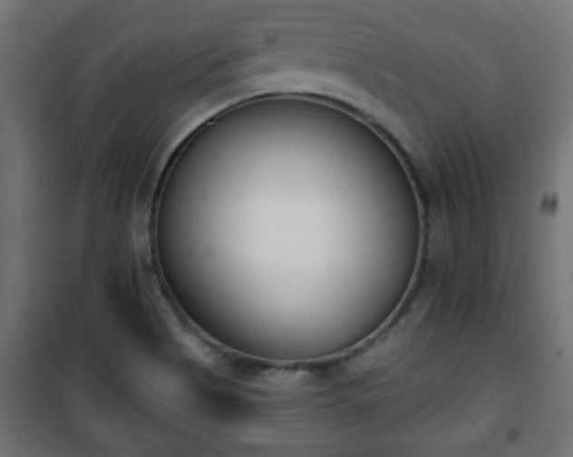 X0000101201513200807071302