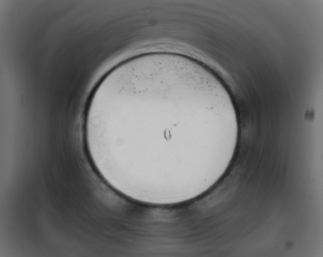 X0000101201514200807071302