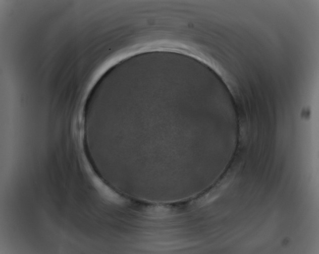 X0000101201515200807071302