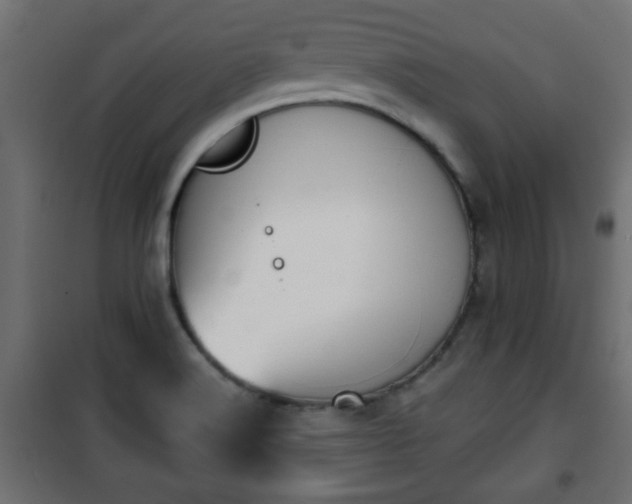 X0000101201516200807071302