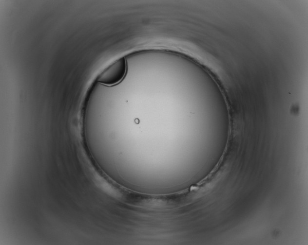 X0000101201517200807071302