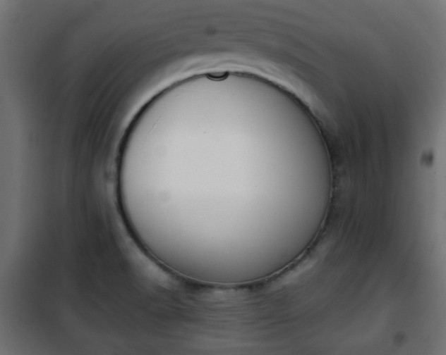 X0000101201518200807071302