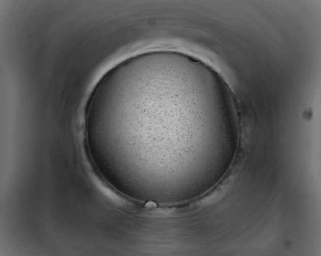 X0000101201519200807071302