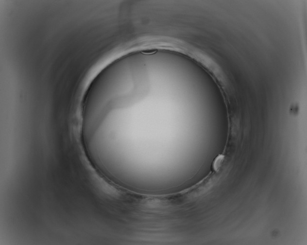 X0000101201520200807071302