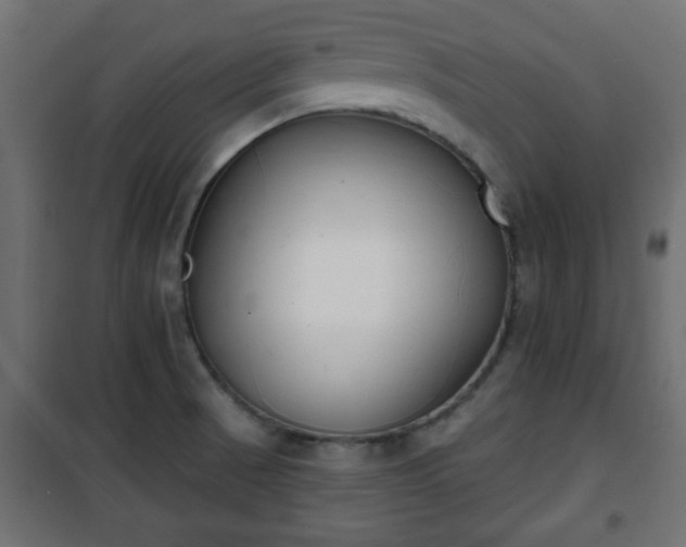 X0000101201521200807071302