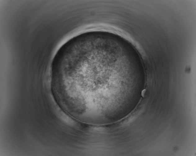 X0000101201522200807071302