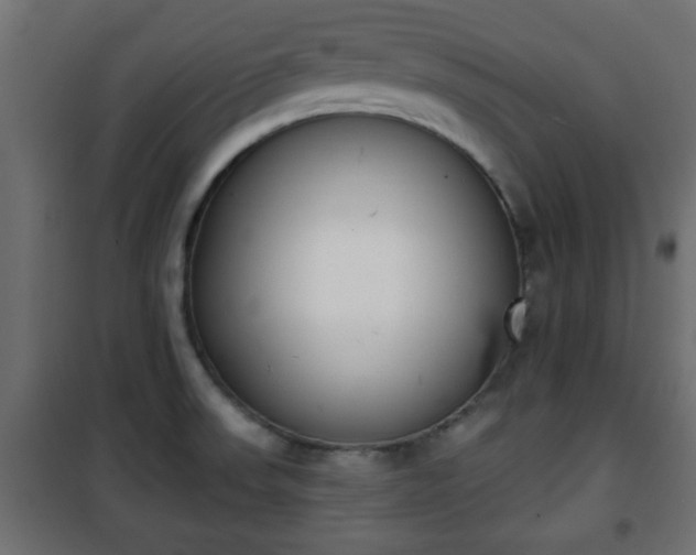 X0000101201523200807071302
