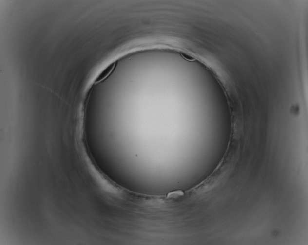 X0000101201524200807071302
