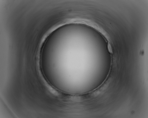 X0000101201525200807071302