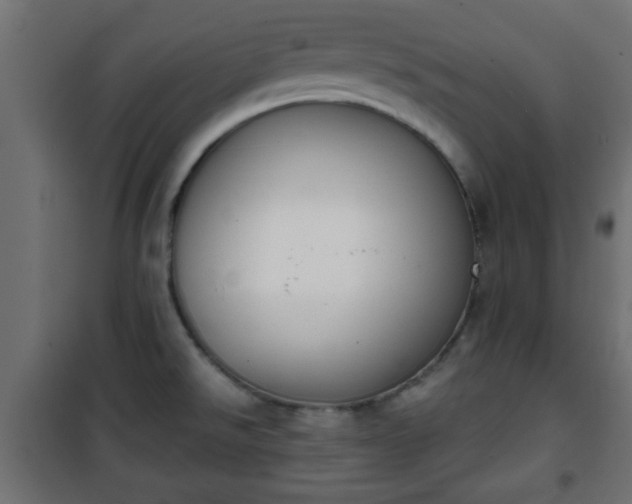 X0000101201526200807071302