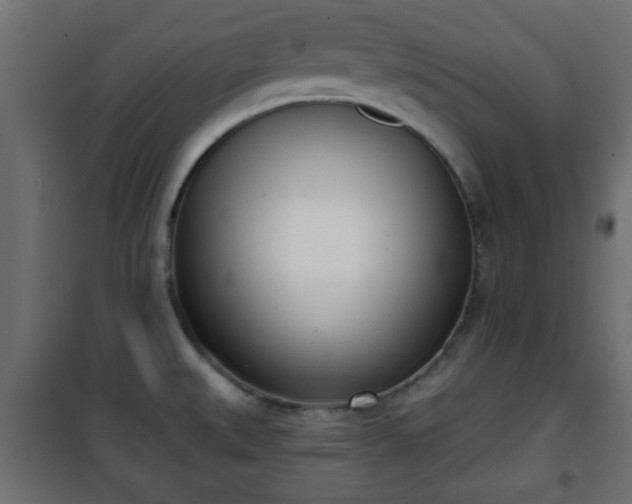 X0000101201527200807071302