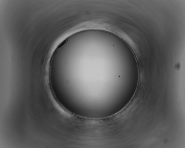 X0000101201528200807071302