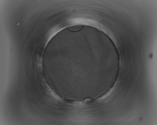 X0000101201529200807071302