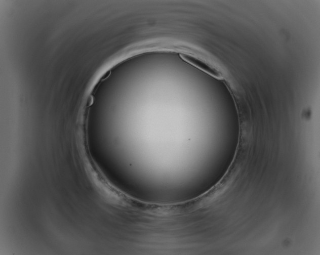 X0000101201530200807071302