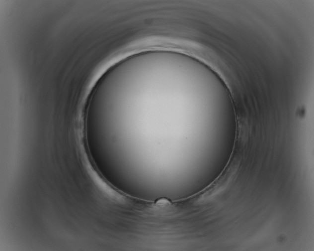 X0000101201531200807071302