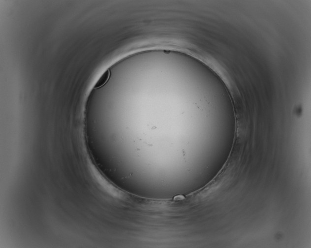 X0000101201532200807071302