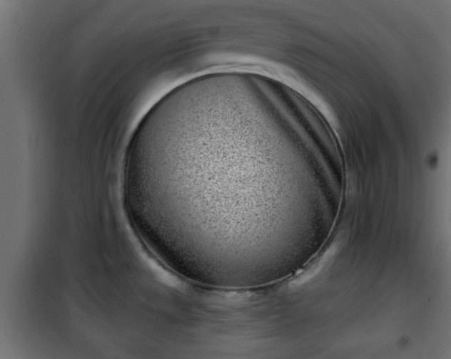 X0000101201533200807071302