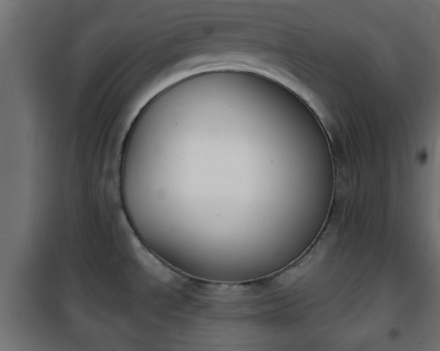 X0000101201534200807071302